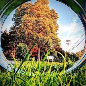 Meet your Posher, Bryan